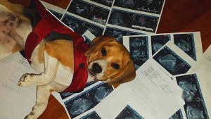 Nurse Cordelia assessing my charts!