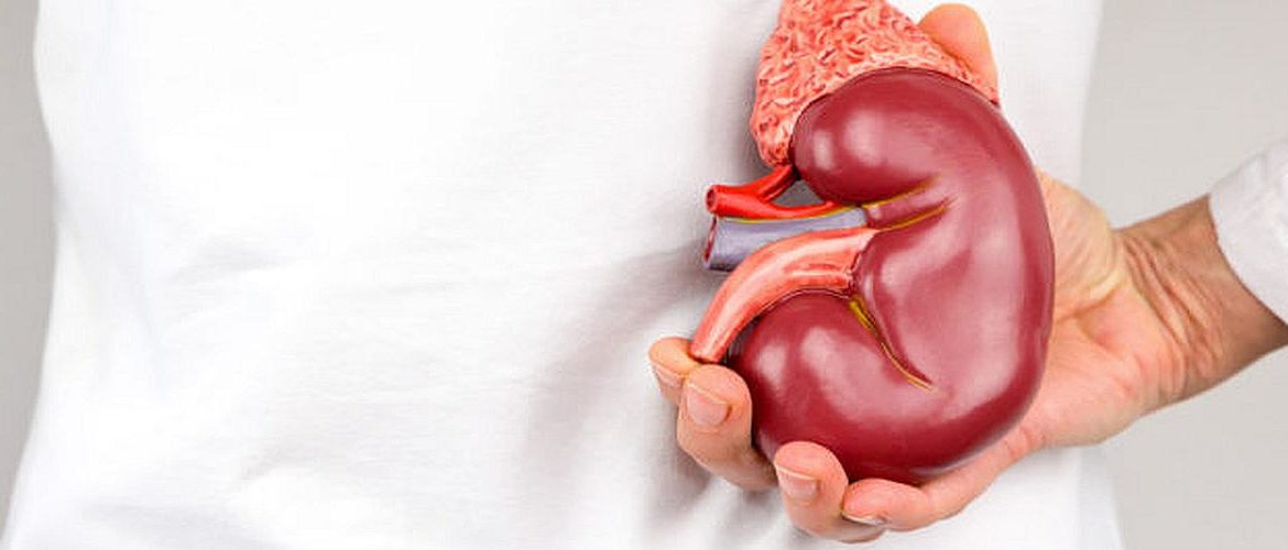 Love your Kidneys